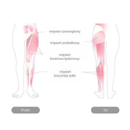 Obuwie ergonomiczne KAMOLEG beige